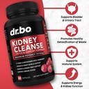 kidney-cleanse-stone-detox-support-suppl-2.jpg
