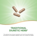 natures-way-dandelion-root-traditional-d-2.jpg
