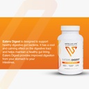 vatellia-life-new-from-eaters-digest-pre-5.jpg