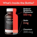 berberine-550-mg-patented-berbevis-berbe-2.jpg