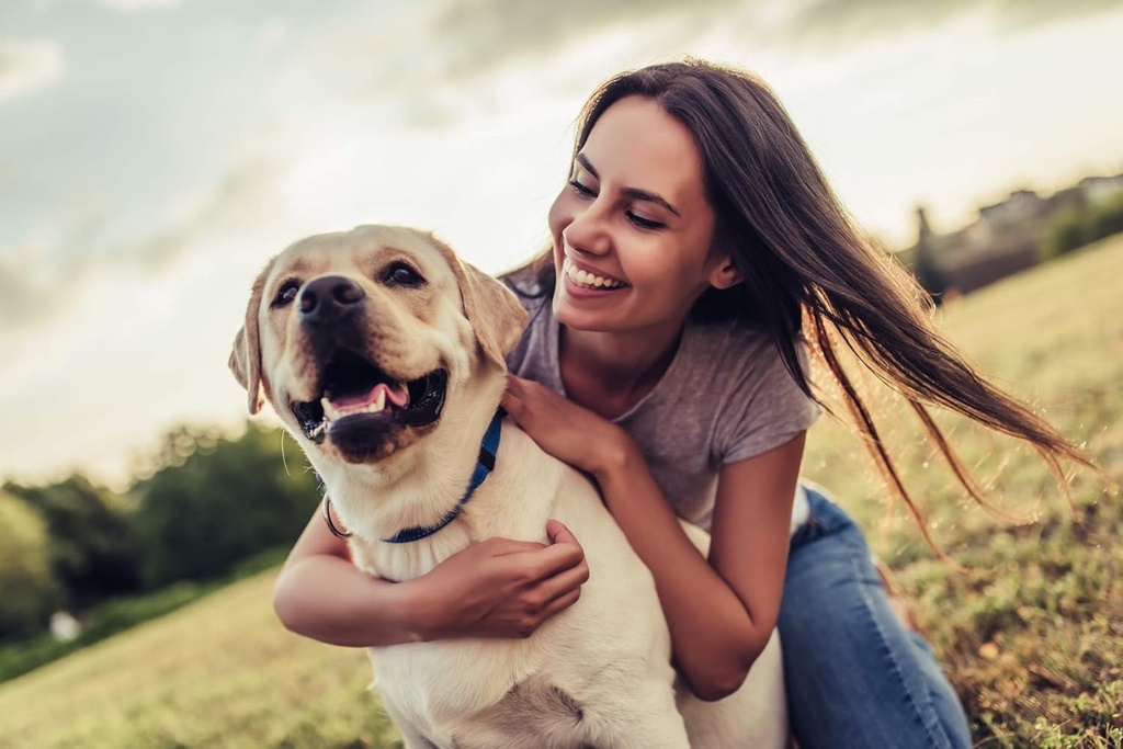 dog-urinary-incontinence-supplements---d-2.jpg