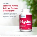 jarrow-formulas-l-lysine-assists-in-prot-3.jpg