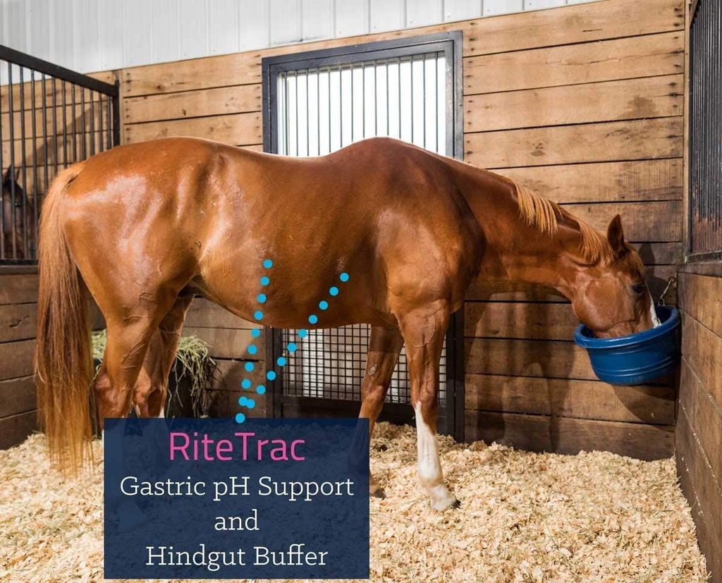 kentucky-equine-research-ritetrac-total--2.jpg