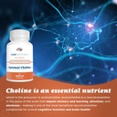 pure-nootropics---optimal-choline-comple-4.jpg