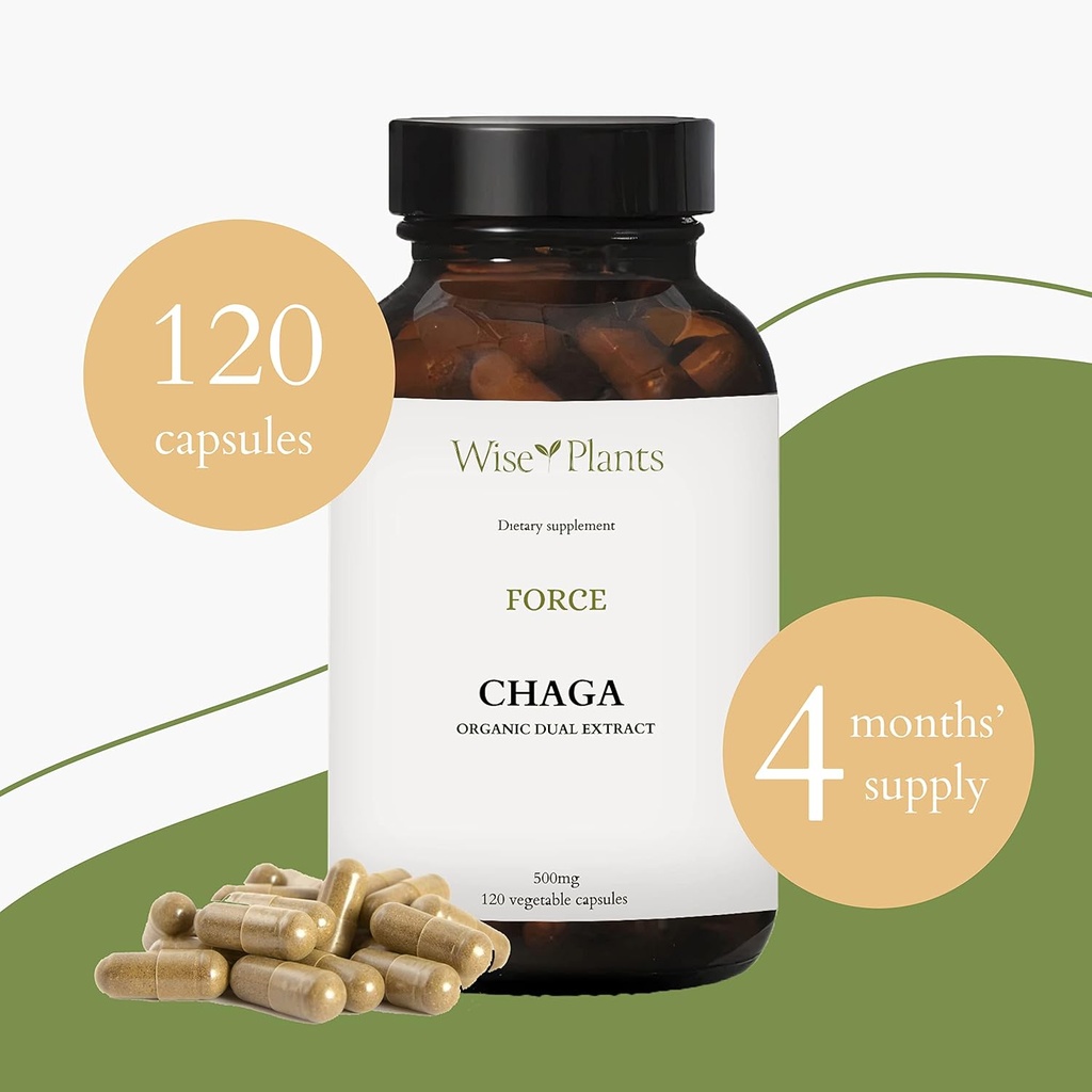 chaga-mushroom-supplement-dual-extract-p-2.jpg