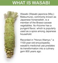 generic-jipang-ginger-wasabi---dietary-s-4.jpg