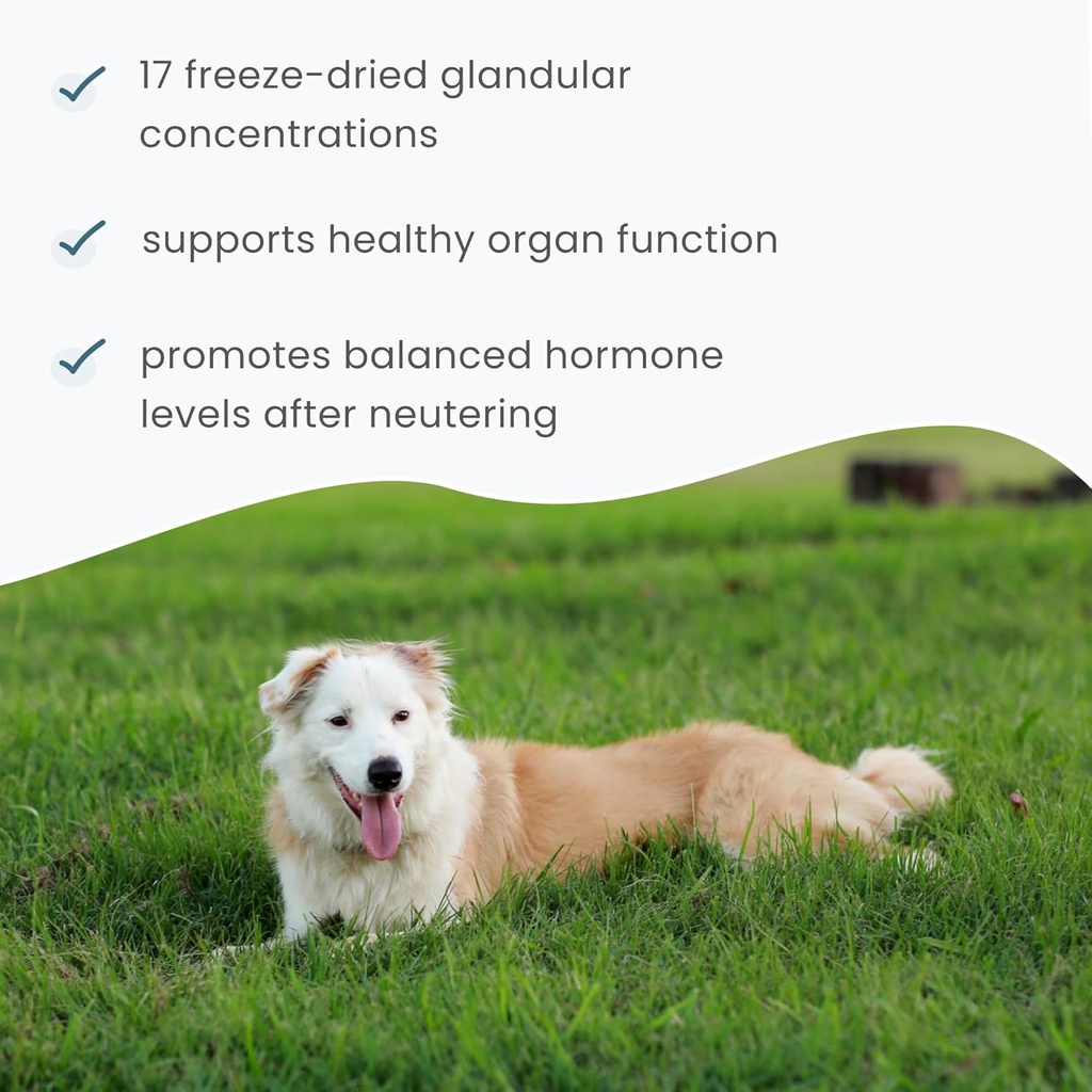 dr-mercola-bark-whiskers-glandular-suppo-5.jpg