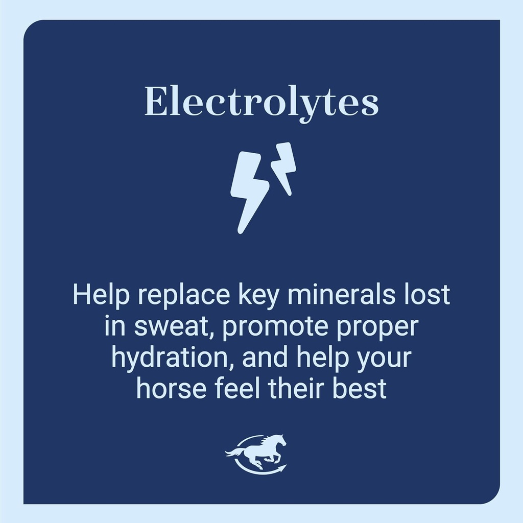 smartequine-smartlytes-horse-electrolyte-5.jpg