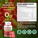 premium-berberine-gummies-2000mg-high-po-2.jpg
