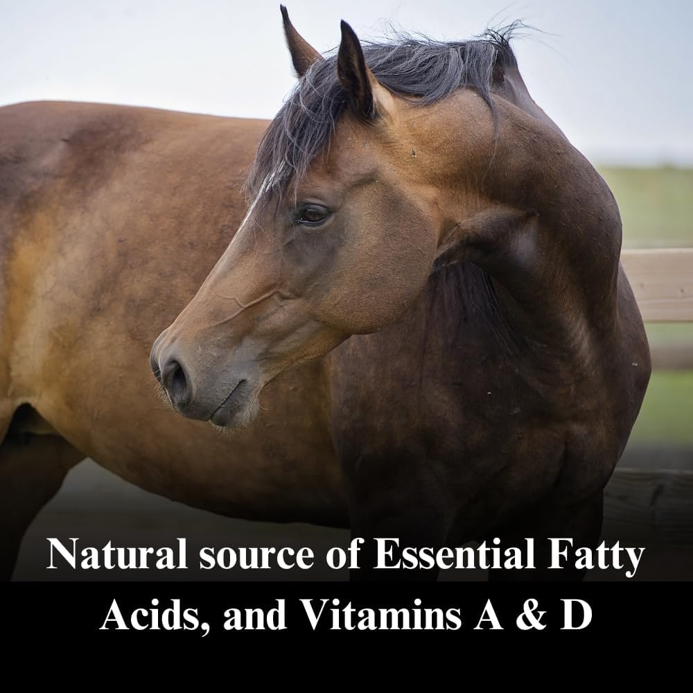 su-per-cod-liver-oil-for-horses---horse--4.jpg