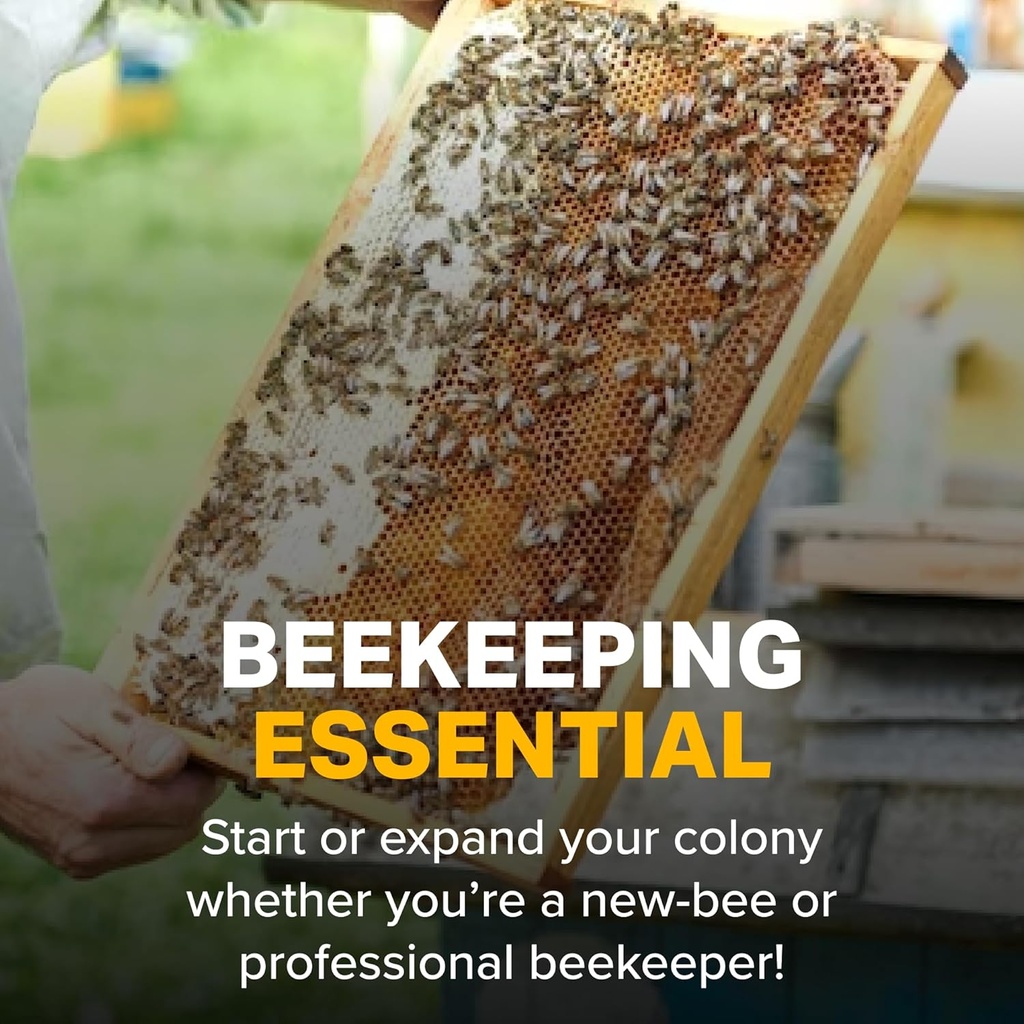 mann-lake-premium-beekeeping-frames-all--5.jpg
