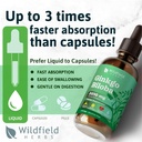 ginkgo-biloba-extract-drops-liquid-2000m-5.jpg