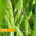 herb-pharm-certified-organic-alcohol-fre-2.jpg