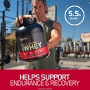 optimum-nutrition-gold-standard-100-whey-4.jpg