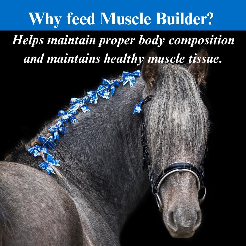 su-per-muscle-builder-horse-supplement---5.jpg