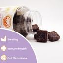 turkey-tail-mushroom-gummies---may-suppo-2.jpg