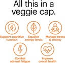 wellthy-revive-stress-support-capsules---4.jpg