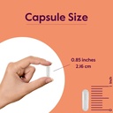 bestvite-l-arginine-500mg-240-capsules---4.jpg