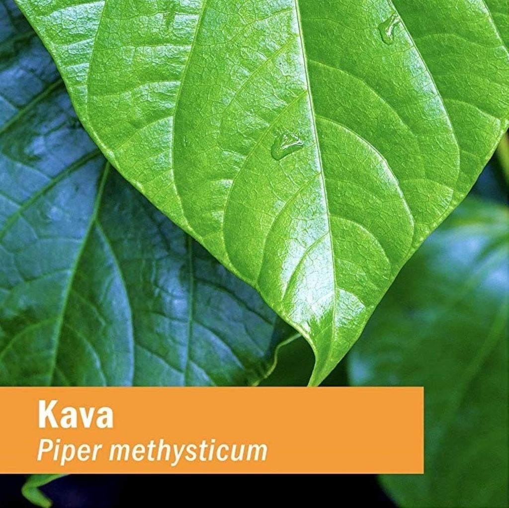 herb-pharm-pharma-kava-extract---4-oz-2--4.jpg
