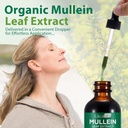 2-pack-mullein-drops-for-lungs-natural-m-6.jpg