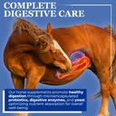 equerrys-glucosamine-pellets---joint-sup-2.jpg