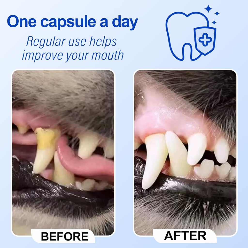 oral-probiotic-for-dogs-advanced-dental--4.jpg