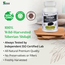 sayan-shilajit-90-capsules440mg-ea-organ-2.jpg