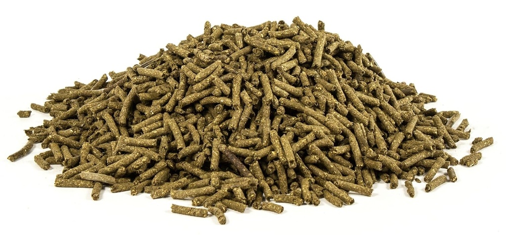 ultracruz-equine-vitamin-b-1-4.jpg