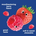 wellyeah-prebiotic-fiber-gummies-for-kid-5.jpg