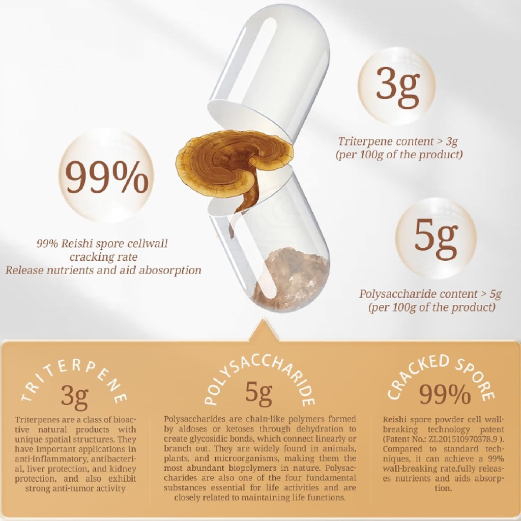 cheezhenghimalaya-reishi-mushroom-organi-3.jpg