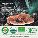 cheezhenghimalaya-reishi-mushroom-organi-5.jpg