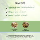 telomere-supplements---herbal-extracts-o-3.jpg
