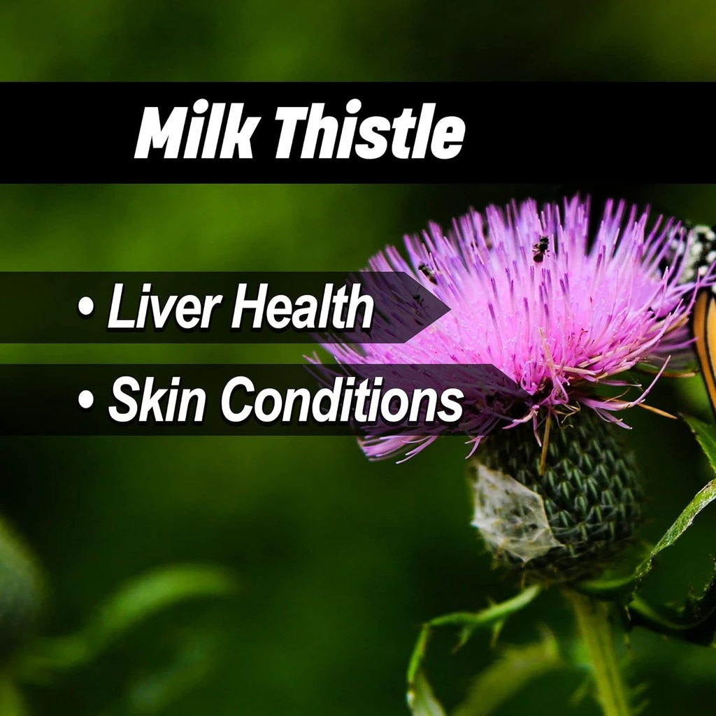 liver-thyroid-support-formula-for-horses-5.jpg
