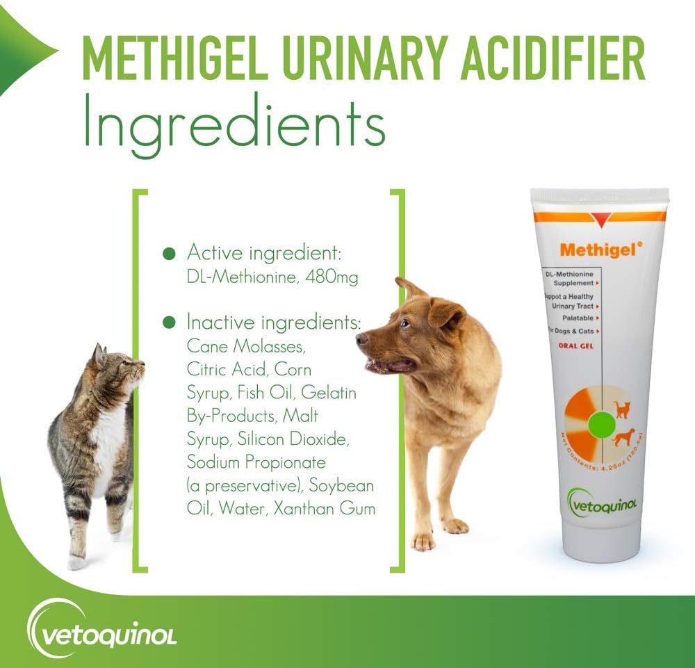 vetoquinol-methigel-urinary-acidifier-to-4.jpg
