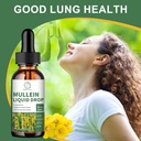 mullein-drops-for-lungs-mullein-leaf-ext-4.jpg