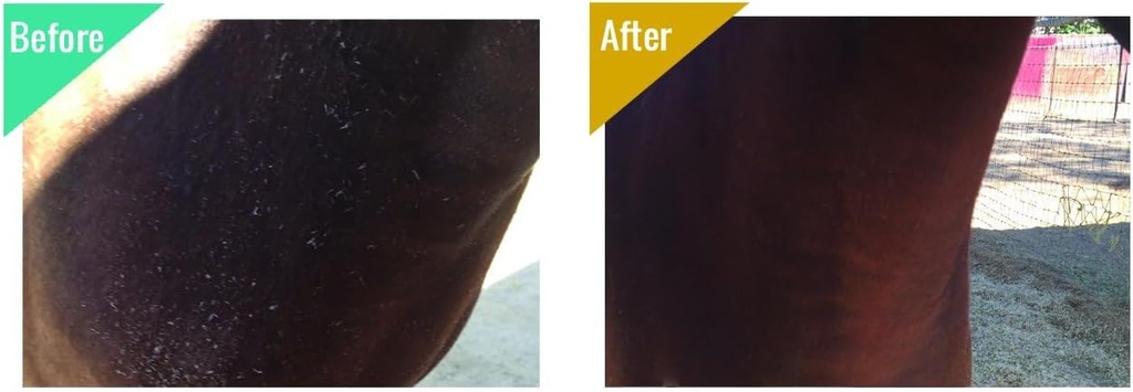 big-mare-horse-medicated-body-wash-clini-4.jpg
