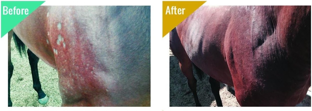 big-mare-horse-medicated-body-wash-clini-5.jpg