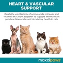 maxxipaws-maxxicardio-heart-cardiovascul-3.jpg