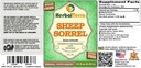 sheep-sorrel-rumex-acetosella-glycerite--2.jpg