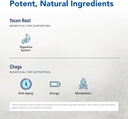 north-american-herb-spice-macamilk---35--3.jpg