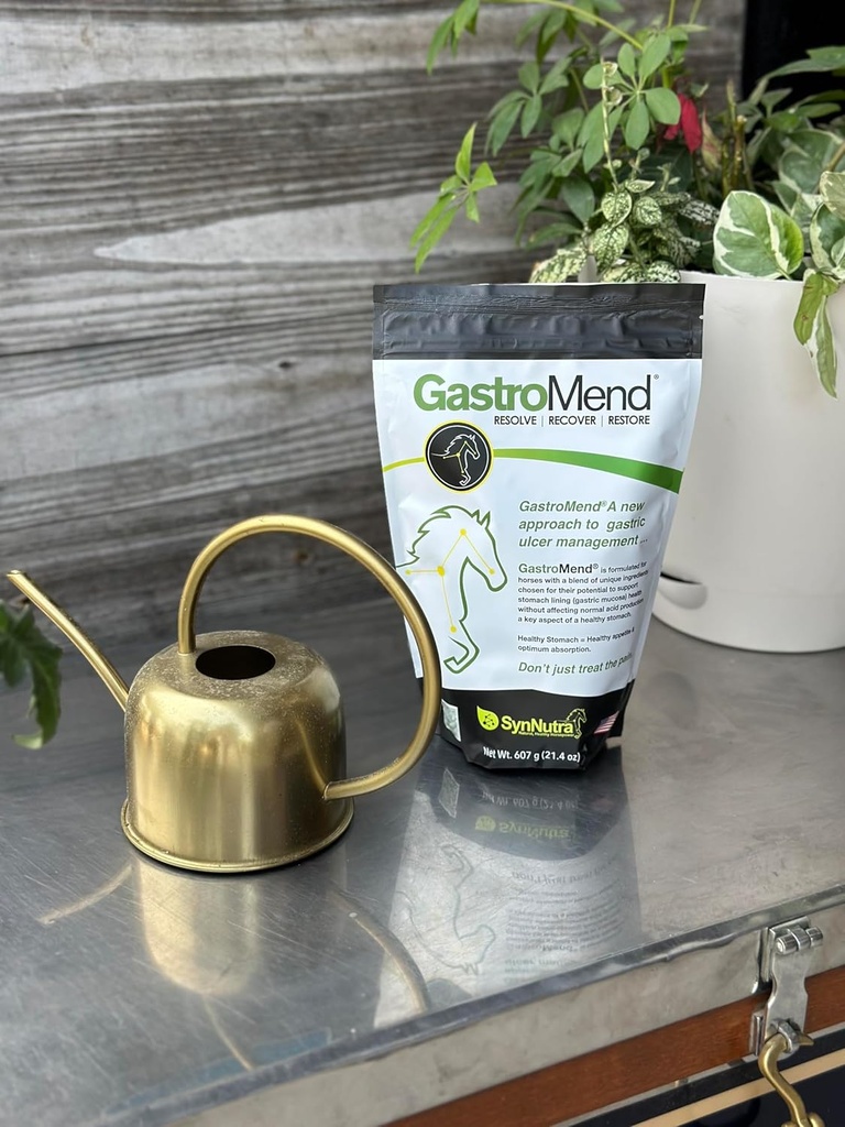 gastromend-gastrointestinal-health-suppl-6.jpg