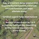 new-country-organics-healthy-sheep-kelp--5.jpg