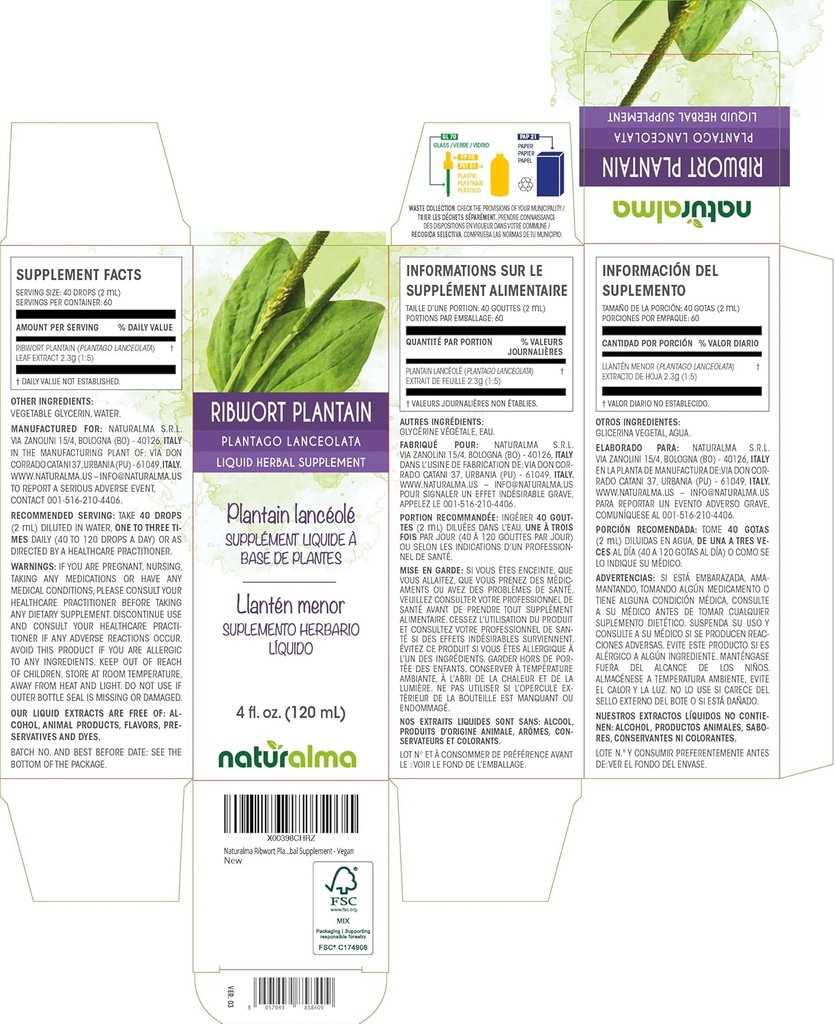 naturalma-ribwort-plantain-or-narrowleaf-2.jpg