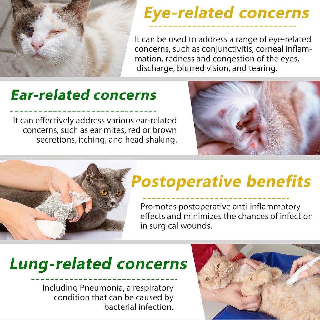 cat-antibiotics-antibiotics-for-cats-nat-5.jpg