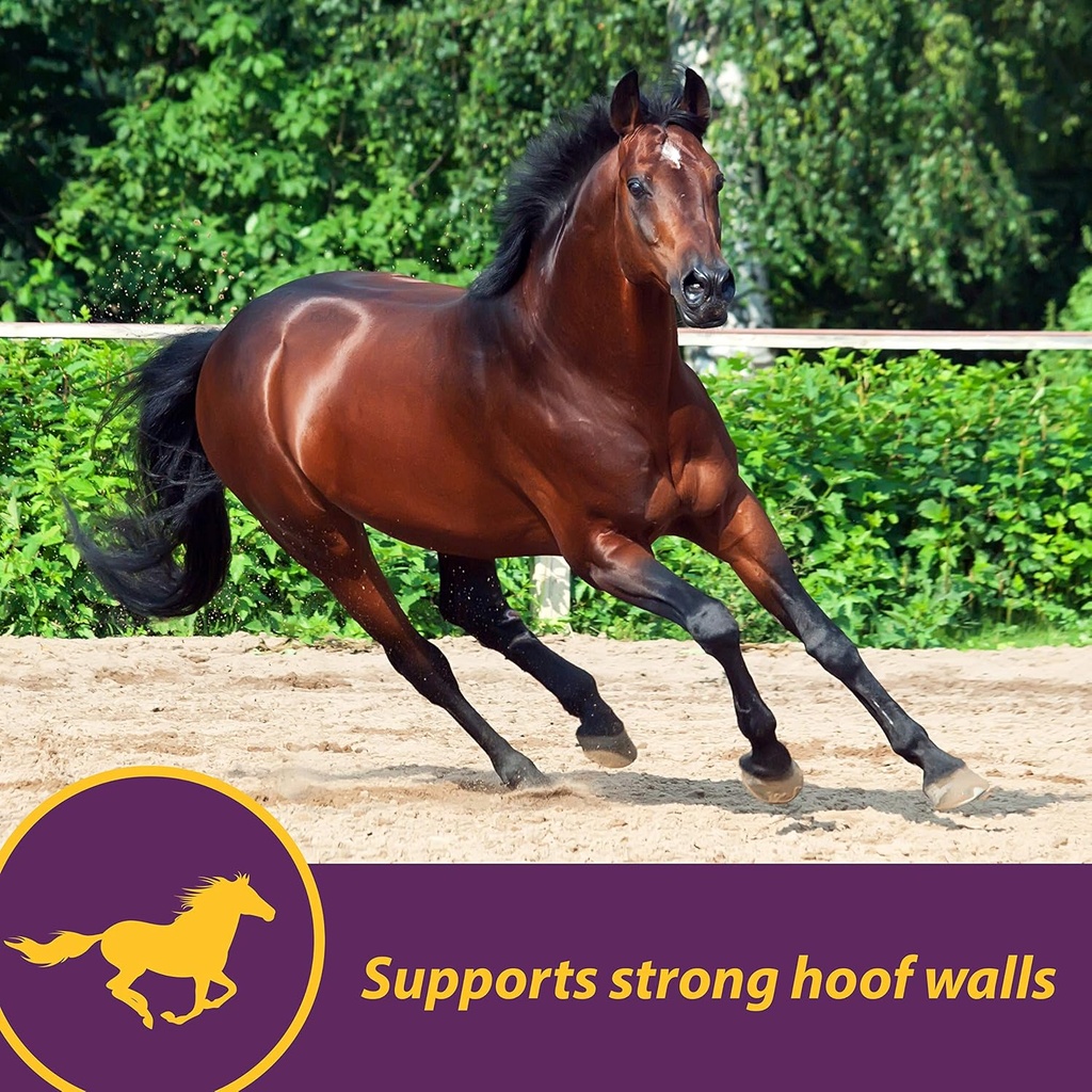 horse-health-vita-biotin-crumbles-horse--4.jpg