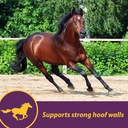 horse-health-vita-biotin-crumbles-horse--4.jpg