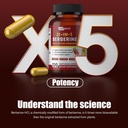 21-in-1-berberine-supplement-with-ceylon-5.jpg