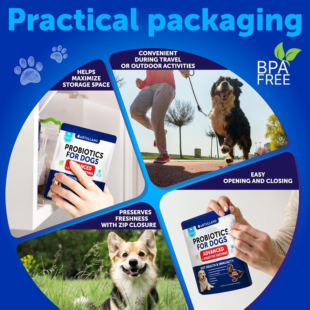 probiotics-for-dogs---support-gut-health-5.jpg