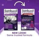 sambucol-cold-and-flu-relief-tablets---h-2.jpg