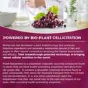 vinia-blood-flow-supplement-super-bundle-6.jpg